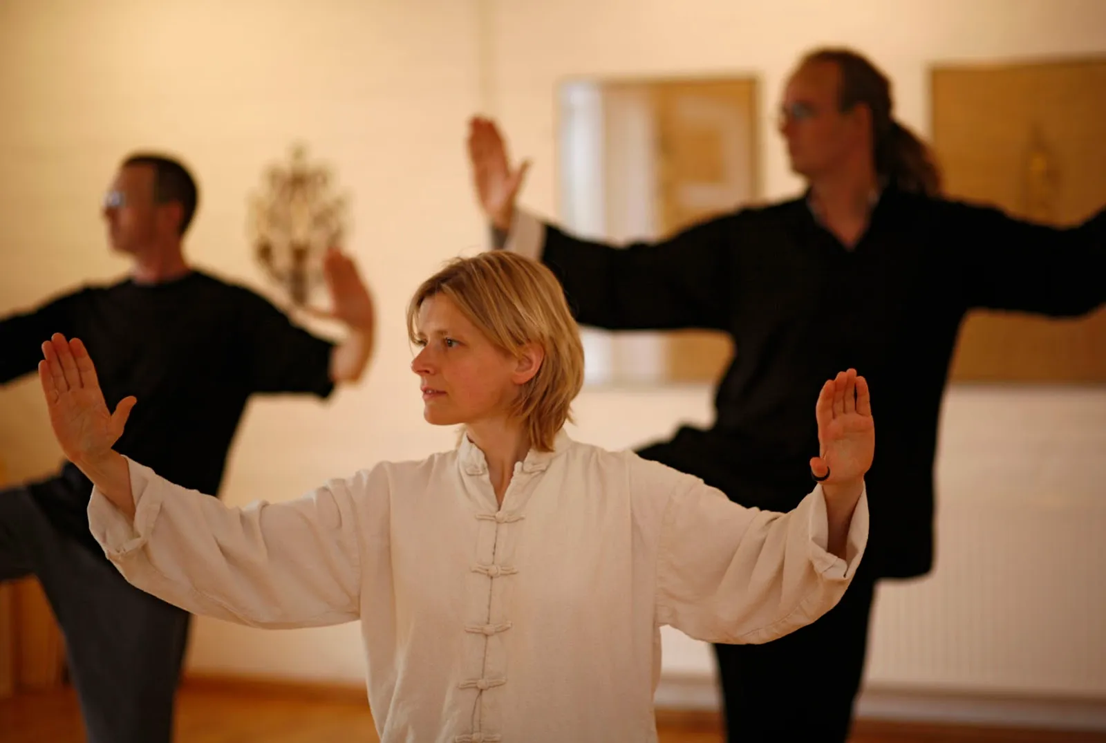 Taichi-Münster (Tai Chi Chuan, Taiji-Qigong) — kampfsport-studio in Münster — 4