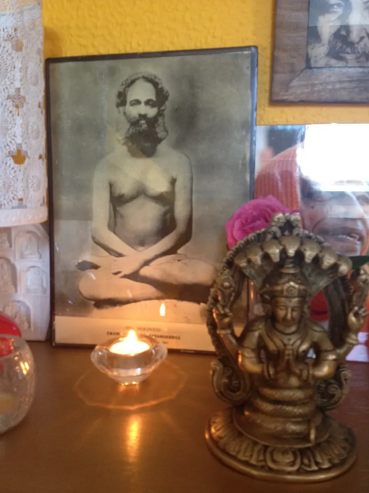 Derek The Dog Yoga Studio — yoga-studio in Exeter — 5