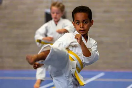 Funakoshi Huiswaard 1 — vechtsport-studio in Huiswaard 1, Alkmaar — 2
