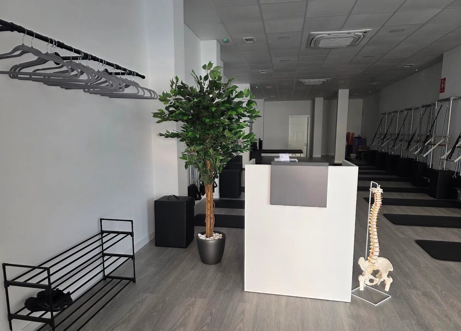 Estudio de Pilates Círculo Mágico — pilates-studio en Linares — 2