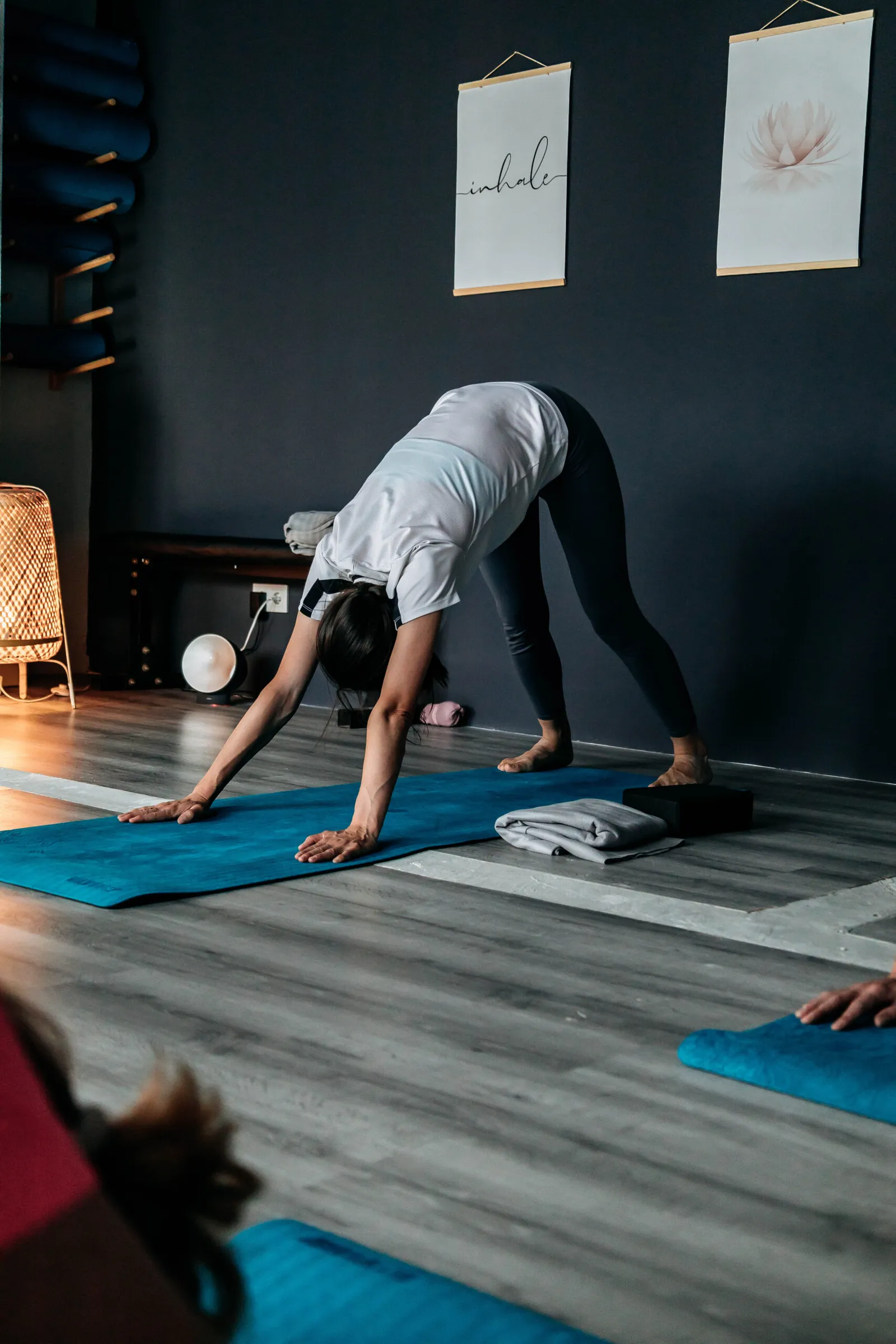 Lynx Fitness Studio — träningsstudio-studio i Sant Cugat del Vallès — bild 2