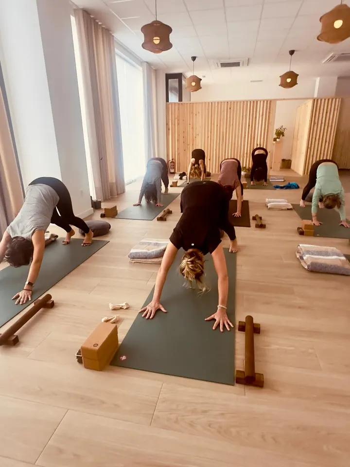 Bhagavan studio — yoga-studio en Zabalgana, Vitoria-Gasteiz — 3