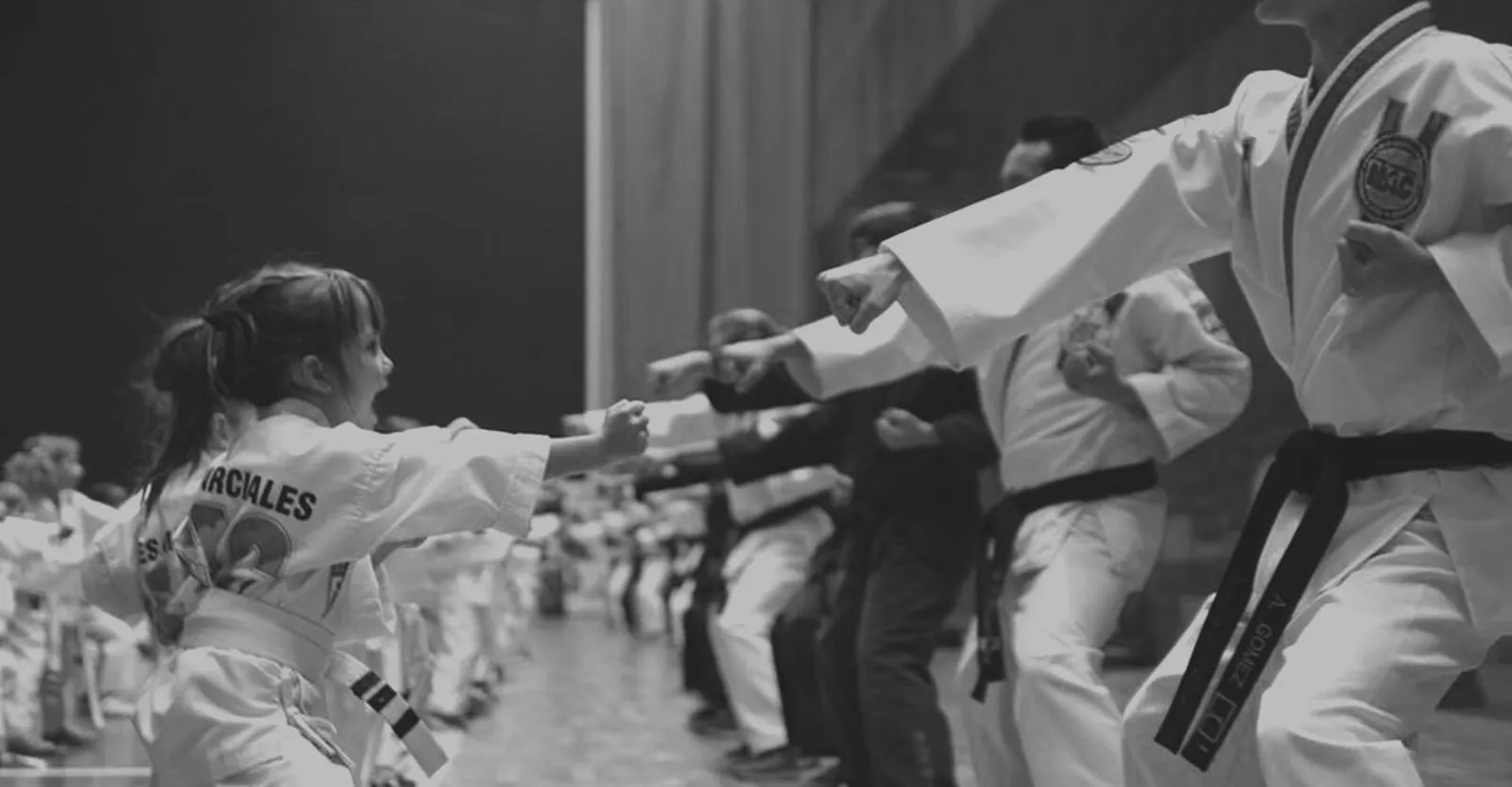 MAC Barberà Artes Marciales — kampsport-studio i Sabadell — bild 2