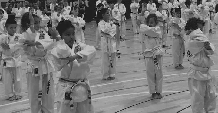 MAC Barberà Artes Marciales — martial arts-studio i la Creu de Barberà, Sabadell