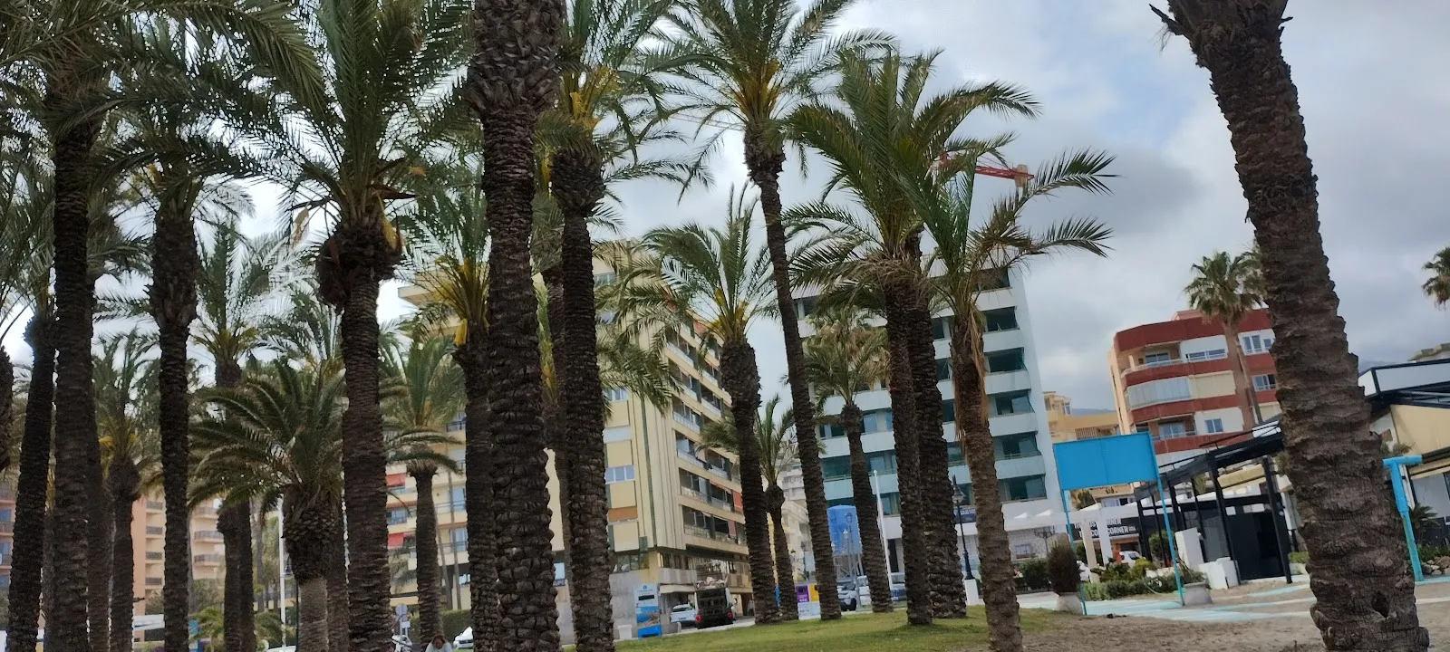 Sunset beach yoga 🏽‍ ️ ️ — yoga-studio en Torremolinos — 5