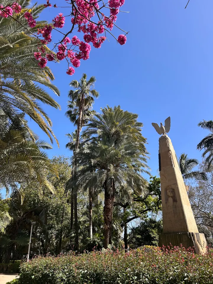 Sunset beach yoga 🏽‍ ️ ️ — Yoga en Torremolinos