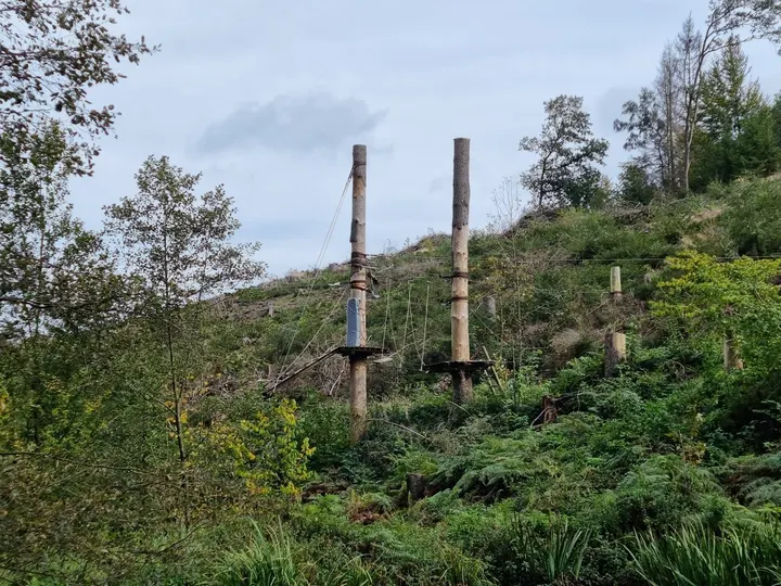 Kletterwald Halver - Kalisho Natursport — klettern-studio in Halver — 2