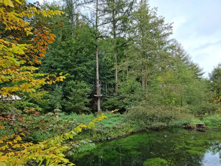 Kletterwald Halver - Kalisho Natursport — klettern-studio in Halver — 3