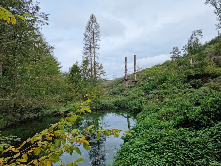 Kletterwald Halver - Kalisho Natursport — klettern-studio in Halver — 4