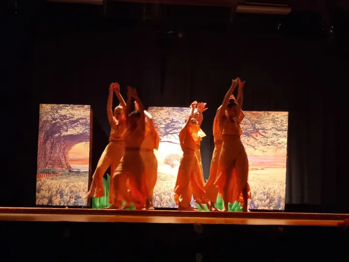 So Danse et Bien Etre — danse-studio à Cesson — 6