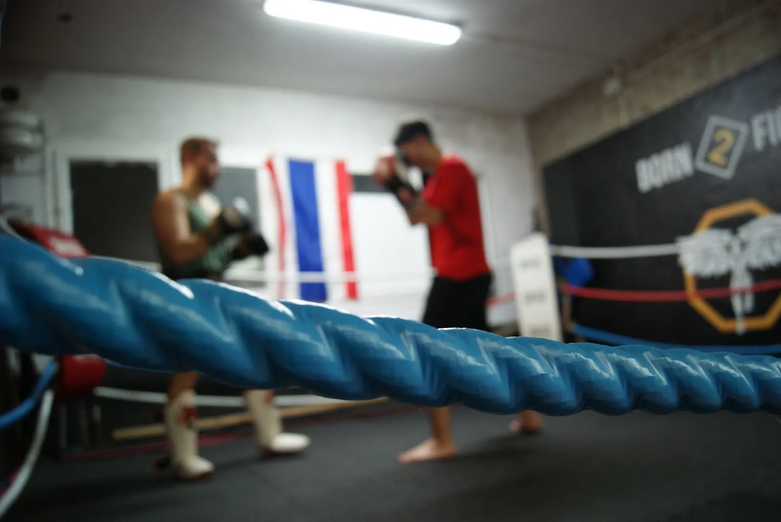 Club Deportivo Edgar Sport — artes marciales-studio en L'Hospitalet de Llobregat — 3