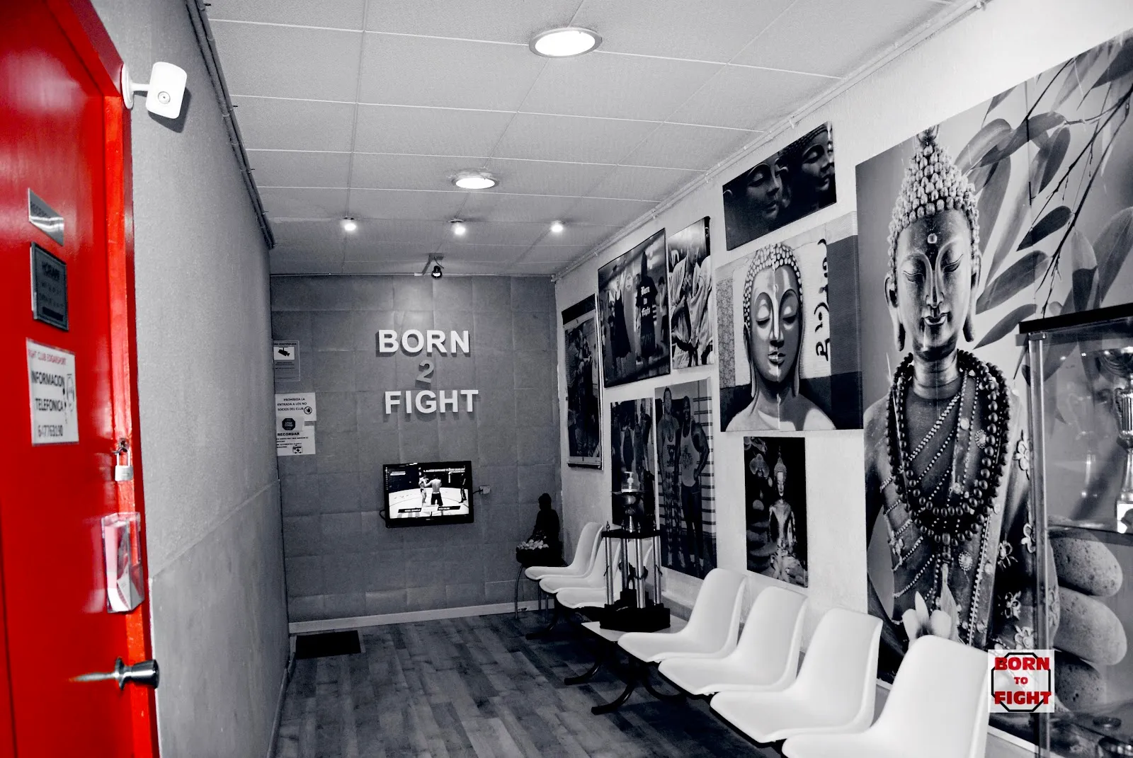 Club Deportivo Edgar Sport — artes marciales-studio en L'Hospitalet de Llobregat — 5