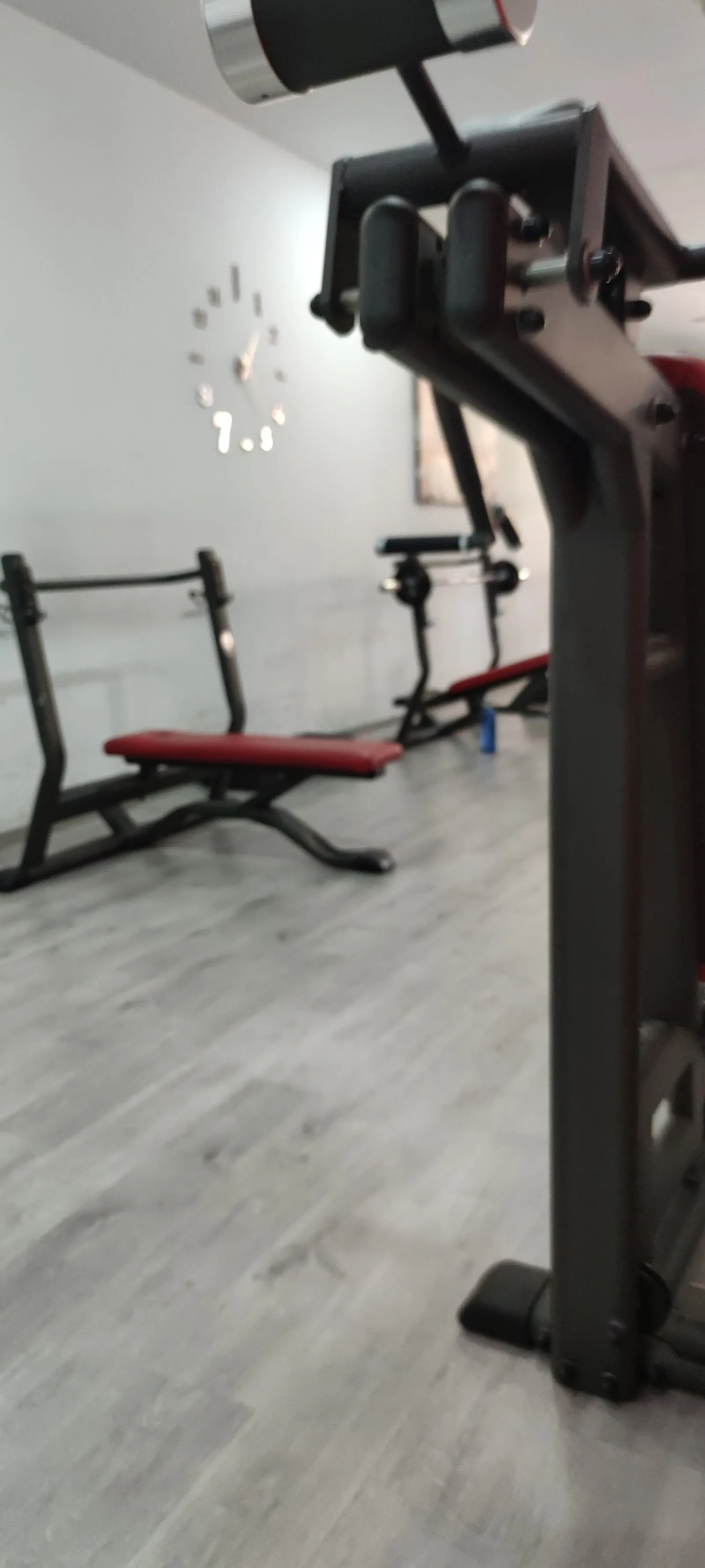 Gallery Gym — estudio de fitness-studio en Soria — 5