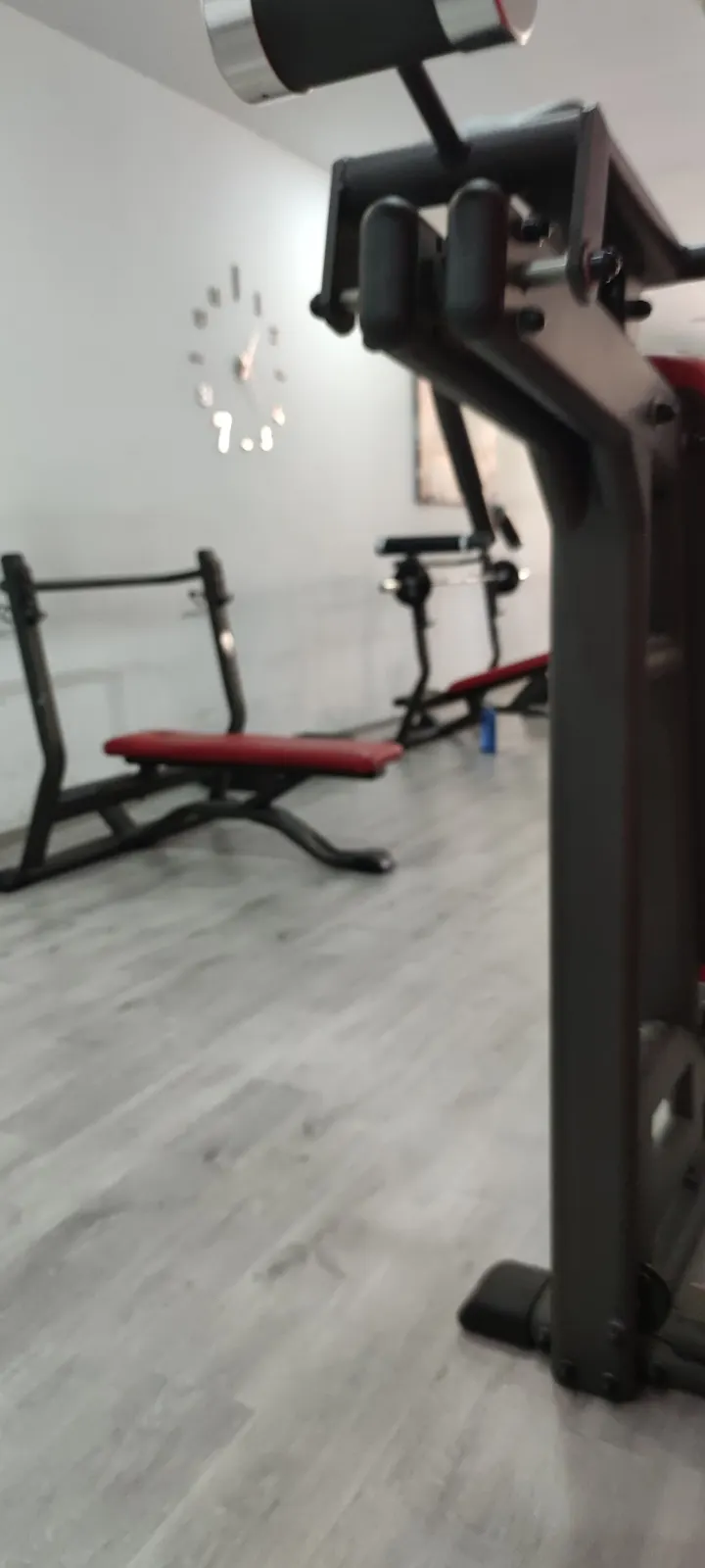 Gallery Gym — estudio de fitness-studio en Soria — 5