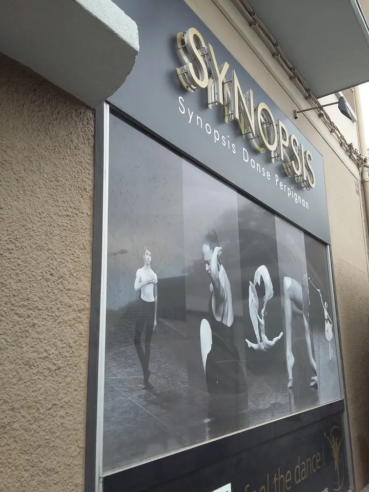 SYNOPSIS — danse-studio à Clemenceau, Perpignan — 2