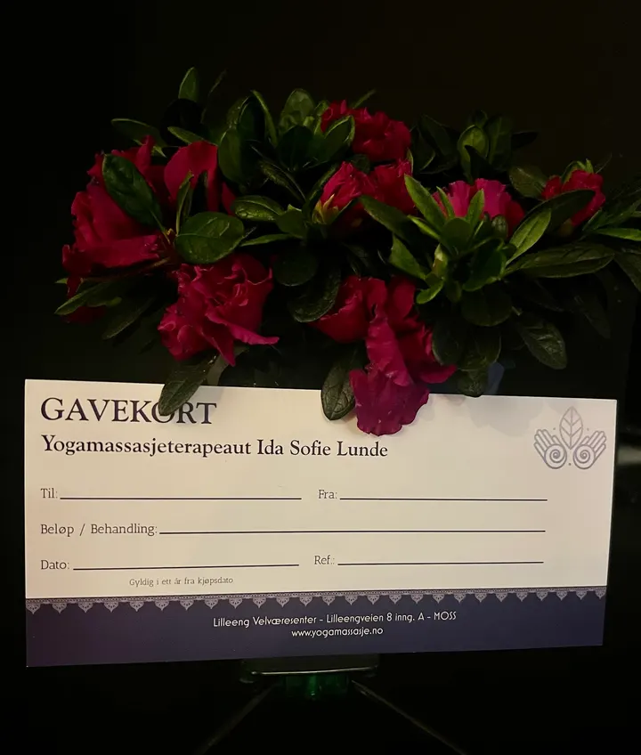 Yoga Massasje Terapeut Ida Sofie Lunde — Yoga i Bredsand, Moss
