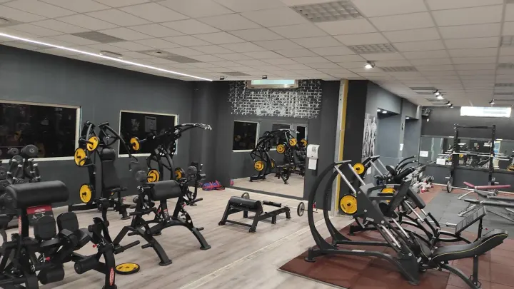 Active Space — Palestre a Provincia di Viterbo