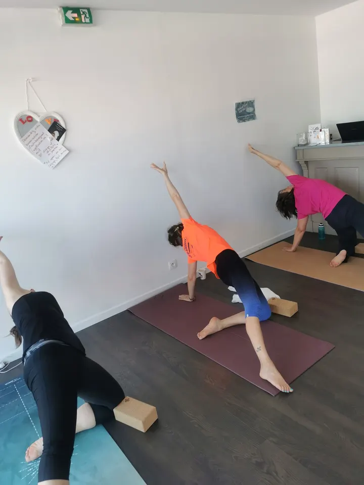 Virginie Lambaudie yoga — yoga-studio aux Pins-Francs, Bordeaux — 2