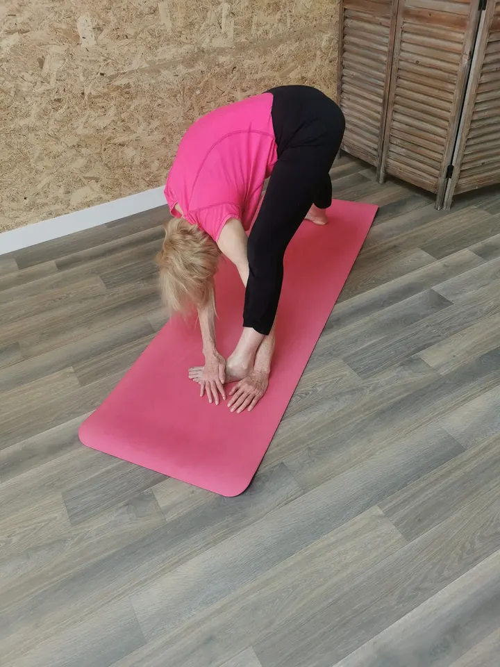 Virginie Lambaudie yoga — yoga-studio aux Pins-Francs, Bordeaux — 3