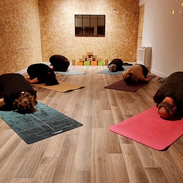 Virginie Lambaudie yoga — yoga-studio à Bordeaux — 5