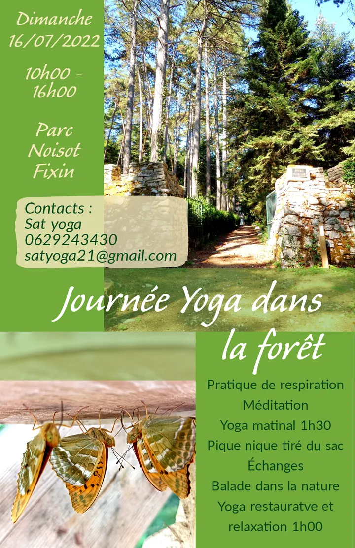 Sat Yoga — yoga-studio à Chevigny-Saint-Sauveur — 3