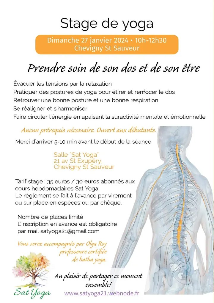 Sat Yoga — yoga-studio à Chevigny-Saint-Sauveur — 3