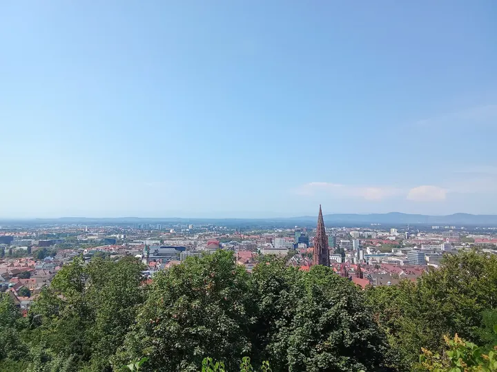Ju Jutsu Club Freiburg Turnseeschule — bjj-studio in Mittelwiehre, Freiburg im Breisgau — 2