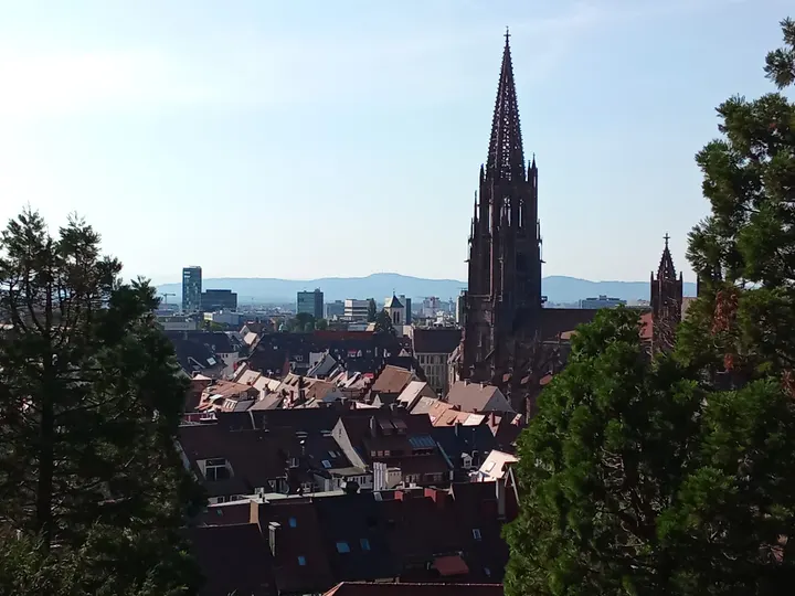 Ju Jutsu Club Freiburg Turnseeschule — bjj-studio in Mittelwiehre, Freiburg im Breisgau — 3