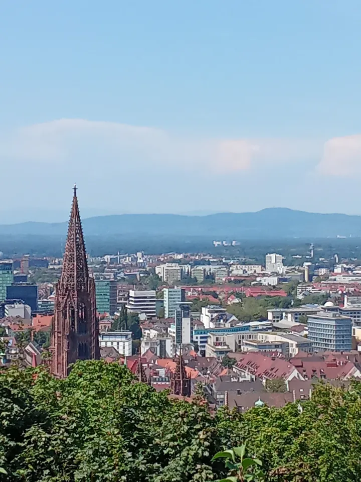 Ju Jutsu Club Freiburg Turnseeschule — bjj-studio in Freiburg im Breisgau — 4