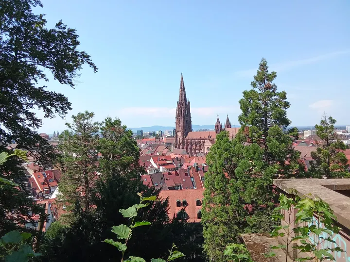 Ju Jutsu Club Freiburg Turnseeschule — bjj-studio in Freiburg im Breisgau — 5