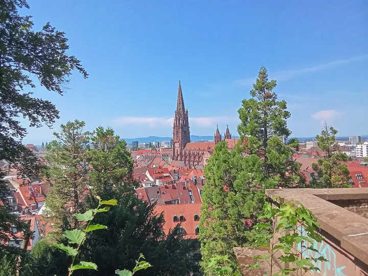 Ju-Jutsu Club Freiburg e.V. — Kampfsport in Mittelwiehre, Freiburg im Breisgau