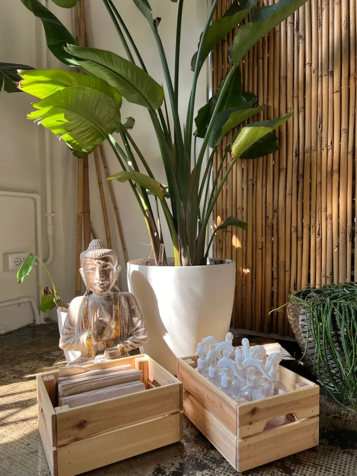 Bali Yoga Marghera — yoga-studio a Washington, Milano — 3