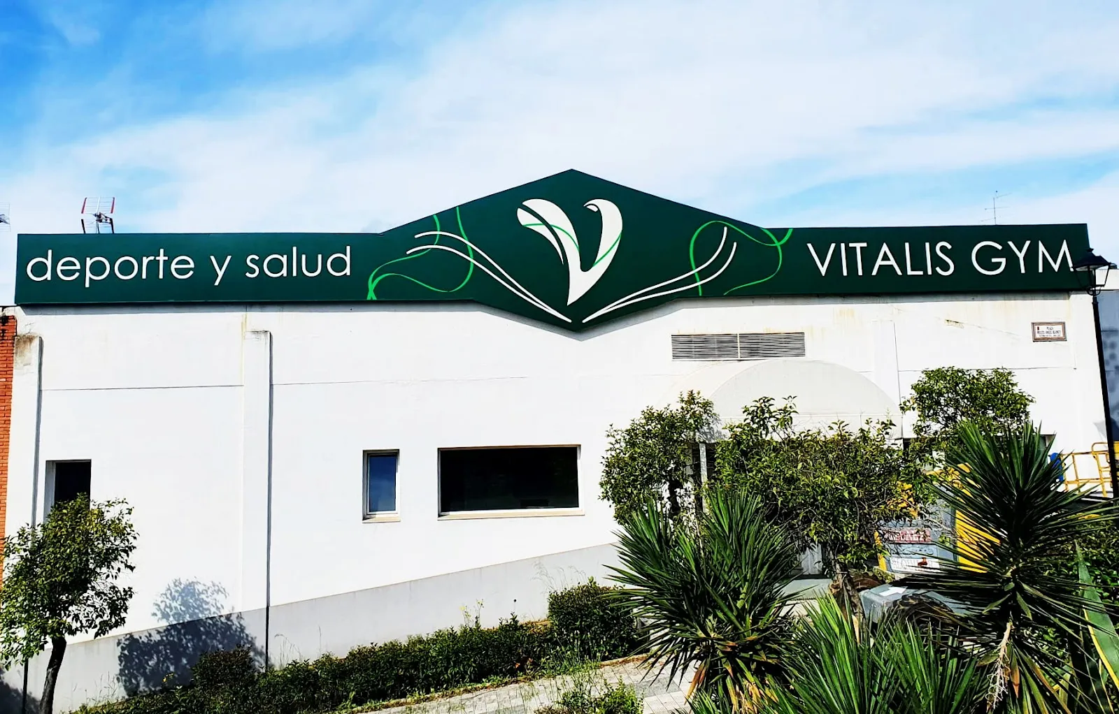 Vitalis Gym — estudio de fitness-studio en Mérida — 4