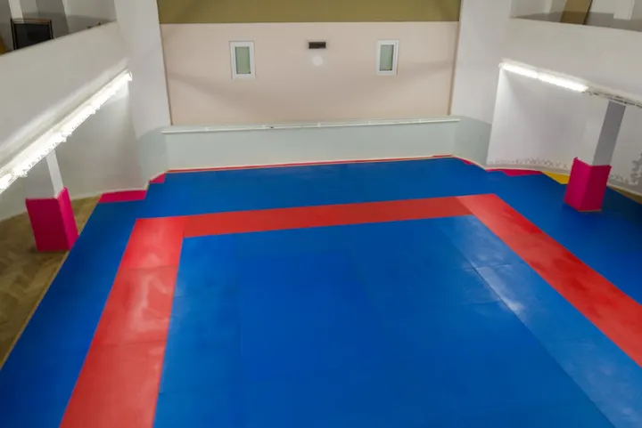 Heidelberger Judo-Club e.V. — kampfsport-studio in Heidelberg — 3