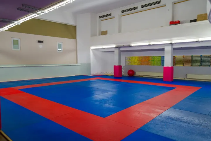 Heidelberger Judo-Club e.V. — kampfsport-studio in Heidelberg — 5