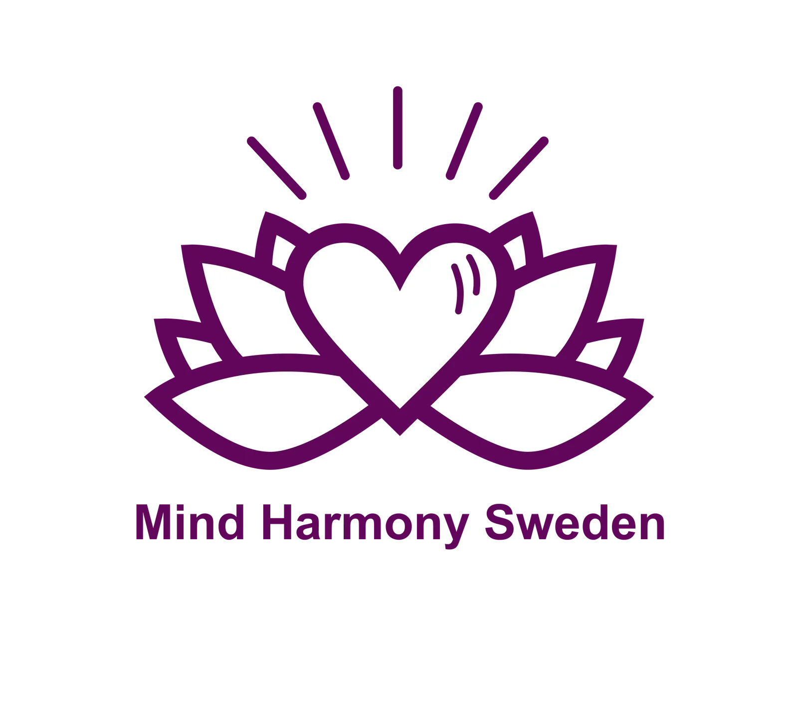 Mind Harmony Sweden — träningsstudio i Södermalm, Stockholm — 2