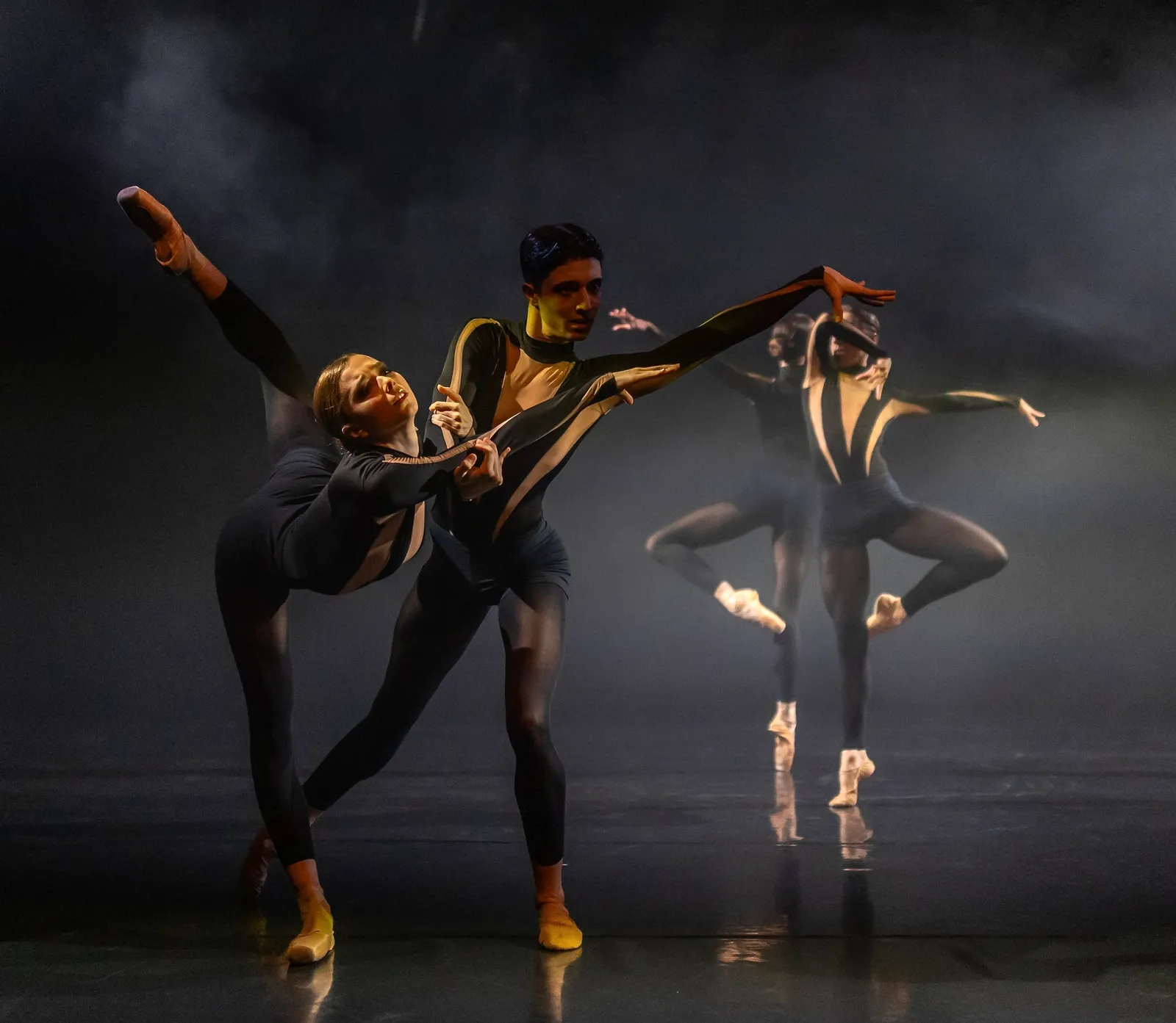 Delattre Dance Company / Evolution Dance Platform — tanz-studio in Mombach, Mainz — 2