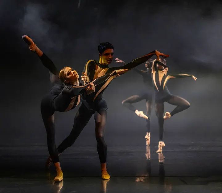 Delattre Dance Company Evolution Platform — tanz-studio in Mombach, Mainz — 2