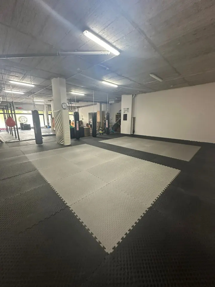 (Re)Action Jiu-Jitsu — jiu-jitsu brasileiro-studio em Lisboa — 3