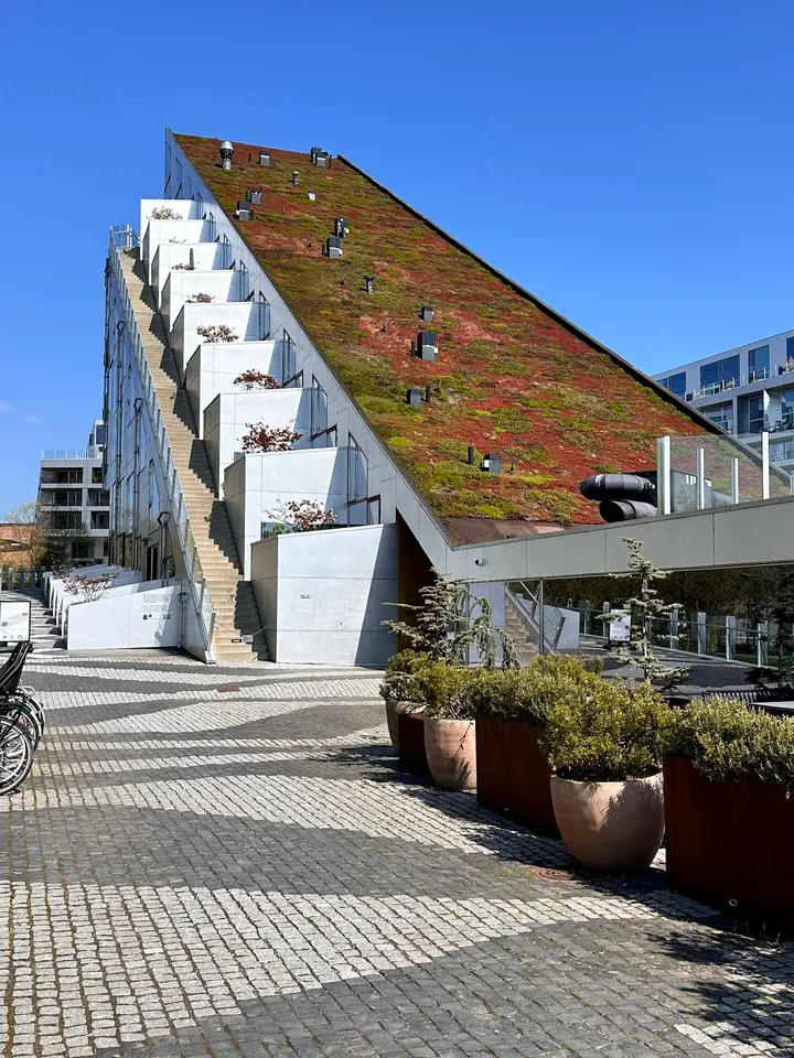 8 House — functional training-studio i København — 4