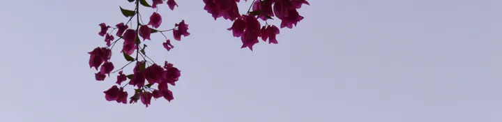 Karuna Meditation Center — meditação-studio — 3