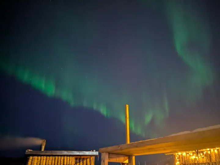 Fauna Sauna, Nordnorsk Badstuforening — Recovery i Vestbyen, Bodø
