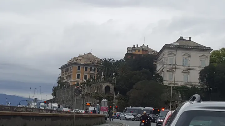 Palestra Genova Academy Asd — arti marziali-studio a Carignano, Genova — 3