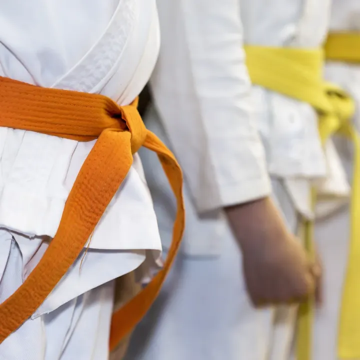 Bugeisha Aikido Club — martial arts-studio in Broadstone — 2