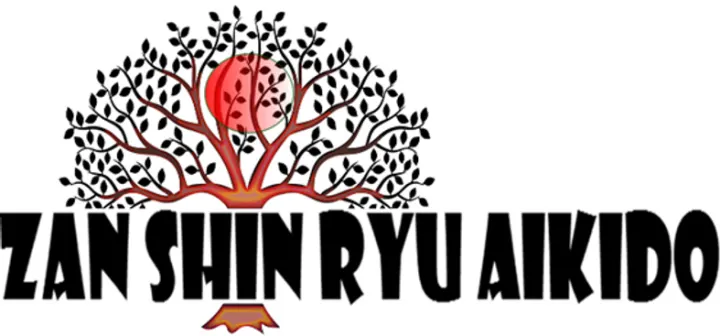 Bugeisha Aikido Club — martial arts-studio in Broadstone — 3