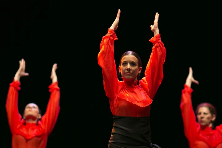 Escuela De Danza Elena Vozmediano — baile-studio en Granada — 5