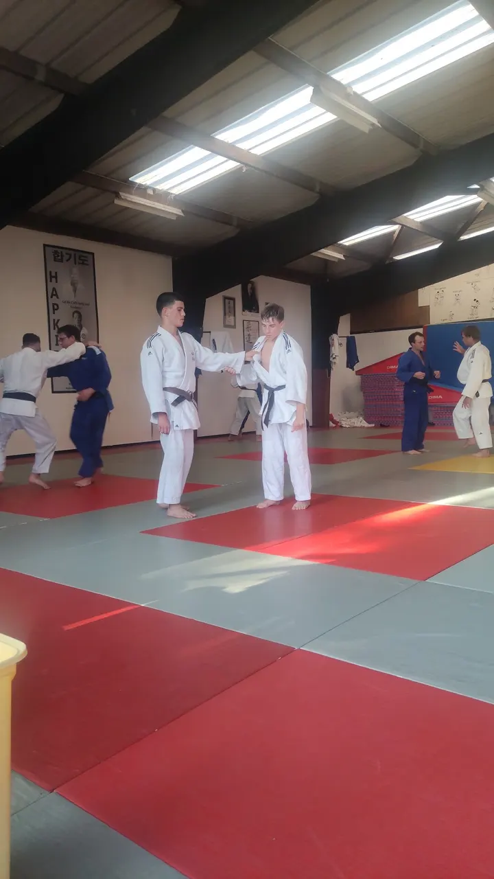 Dojo Rennais — arts martiaux-studio à Cleunay, Rennes — 3