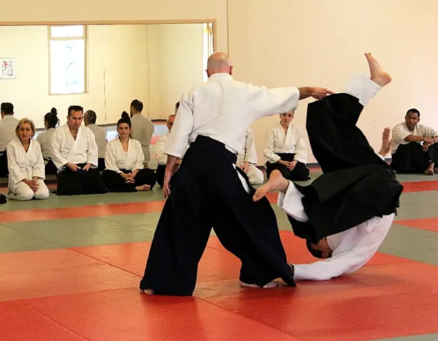 Club Musubi Aïkido — arts martiaux-studio au Carmel, Mende — 2