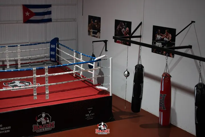 Club de Boxeo Bachi — artes marciales-studio en Andújar — 3