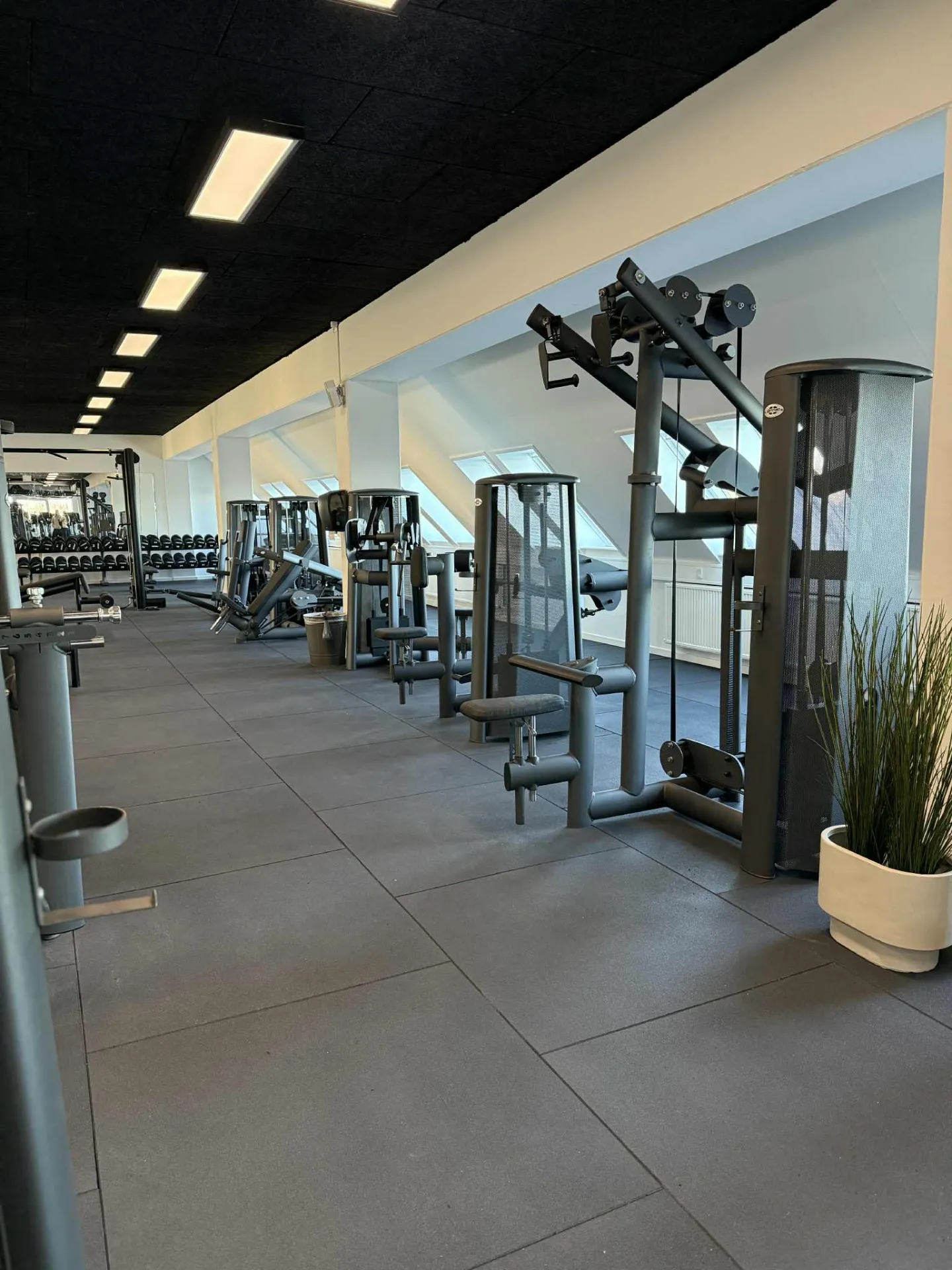 KYST fitness — træningsstudio-studio i Dragør — bild 3